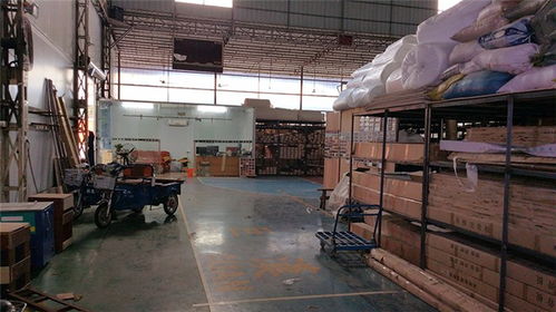 立美建材 專業(yè)運動館木地板生產(chǎn)商，品質(zhì)保障與高清展示