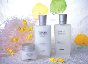 化妝品進口報關全流程指南